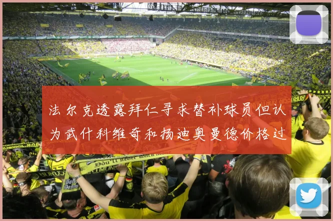法尔克透露拜仁寻求替补球员但认为武什科维奇和扬迪奥曼德价格过高