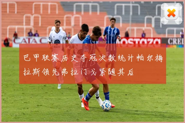 巴甲联赛历史夺冠次数统计帕尔梅拉斯领先弗拉门戈紧随其后