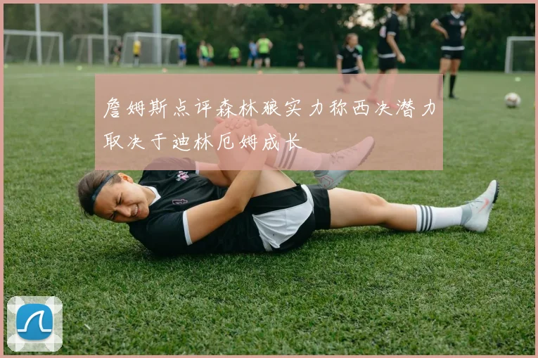 詹姆斯点评森林狼实力称西决潜力取决于迪林厄姆成长